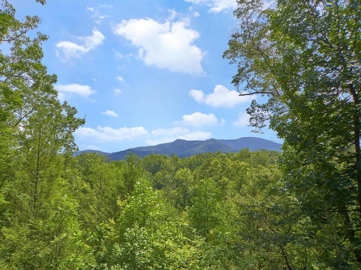 Villa Dew South Gatlinburg Exterior foto